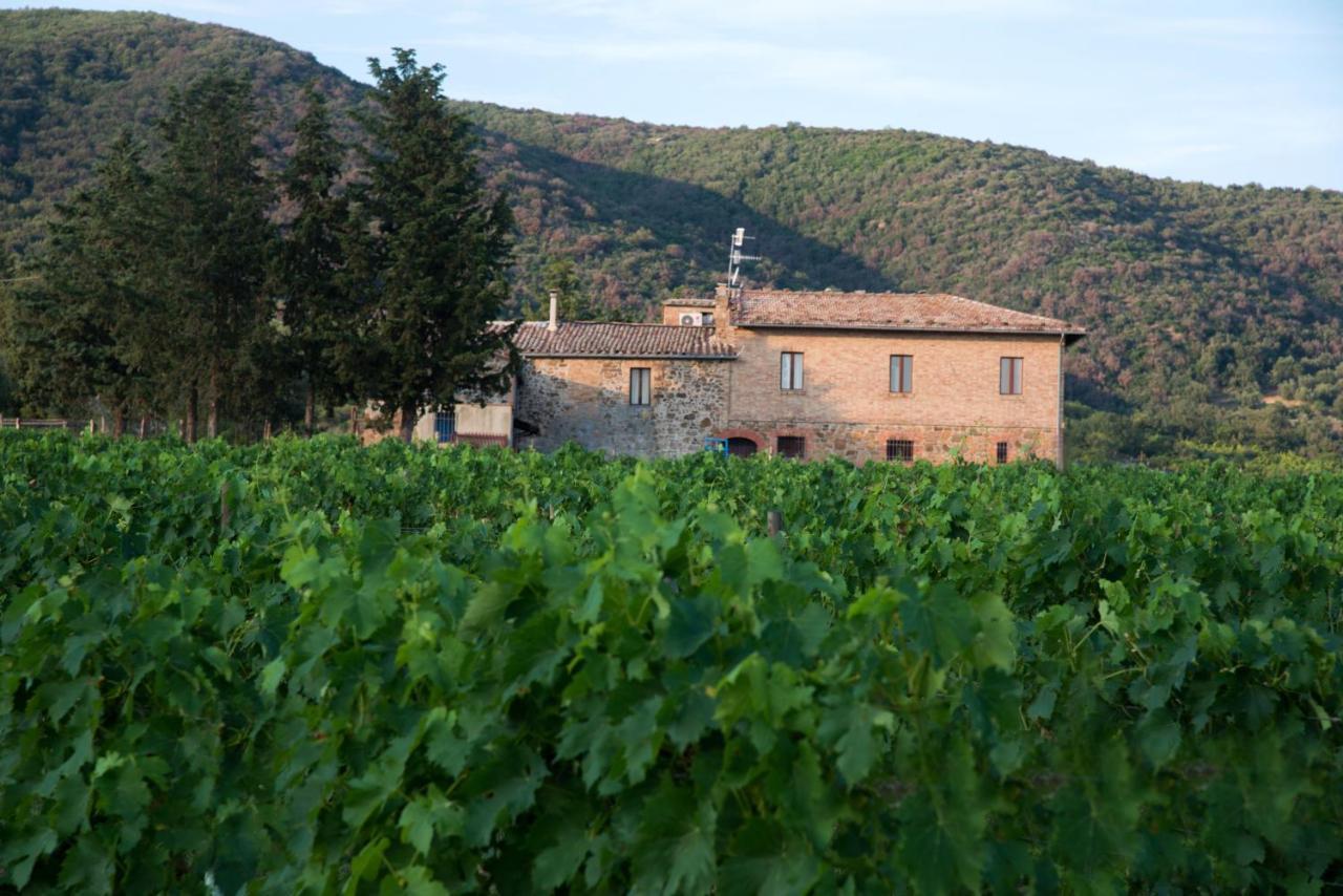 Luce Di Vino Villa Montalcino Dış mekan fotoğraf