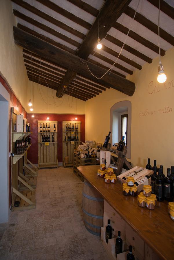 Luce Di Vino Villa Montalcino Dış mekan fotoğraf