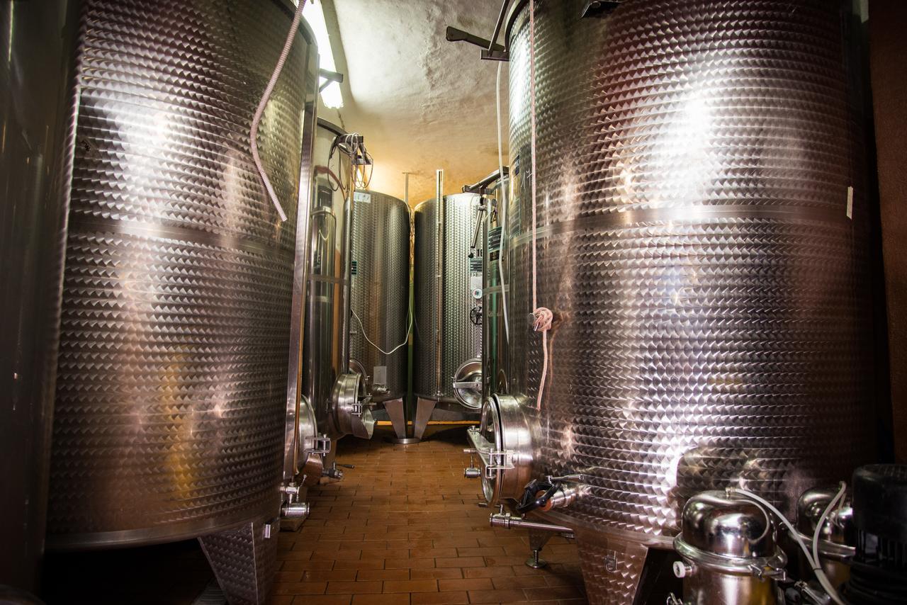 Luce Di Vino Villa Montalcino Dış mekan fotoğraf