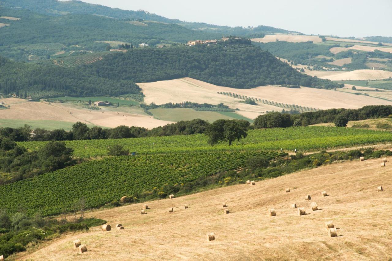 Luce Di Vino Villa Montalcino Dış mekan fotoğraf